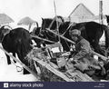 eventi-seconda-guerra-mondiale-wwii-russia-tedesco-segnalatore-su-una-carrozza-a-cavallo-inverno-19411942-soldato-segnali-radio-