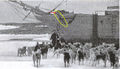 Stella Polare foto 52,  1899 agosto, si portano i cani nei canili