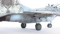 MiG-29AS 81