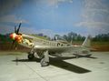 P-51D Hasegawa 1/48