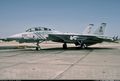 Campagna M+ 2021 Guerra del Golfo F-14A