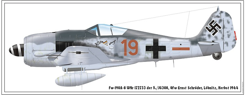 Screenshot_2021-01-25 Fw 190A - rote 19,