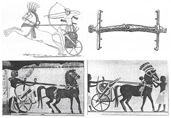 collage-carri-egizi-13-14
