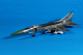 SU-15 TM Flagon F