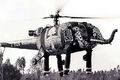 India elephant helicopter 2