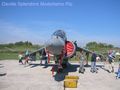 AV8_Harrier_II_00_.jpg