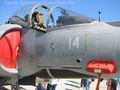 AV8_Harrier_II_03_.JPG