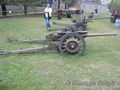 Cannone da 47-50 mod. 37