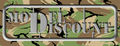 Logo_modeldiscount_03