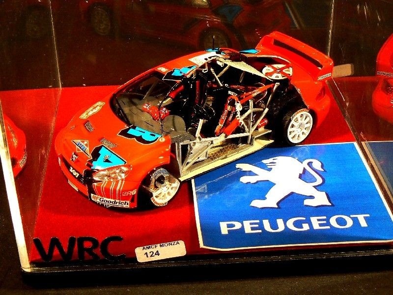 Peugeot 206 WRC sezionata 1-24 di Preziosa fabrizio.JPG