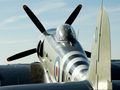 Hawker Sea Fury - In azione