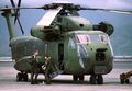 Sikorsky CH-53 - In azione