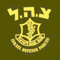 Campagna M+ 2012 - IDF