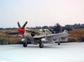 P- 51D Mustang