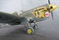 P-40Es 